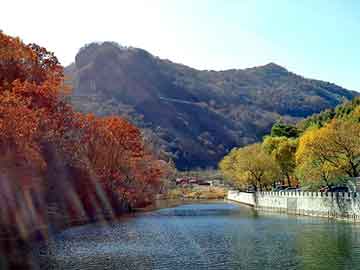 澳門最準(zhǔn)一肖一碼一碼配套成龍,澳門最準(zhǔn)一肖一碼一碼配套成龍——揭示背后的犯罪問題